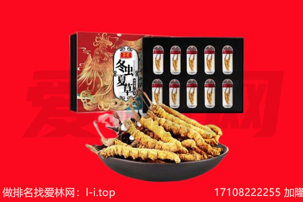 甘南州合作市回收虫草.jpg